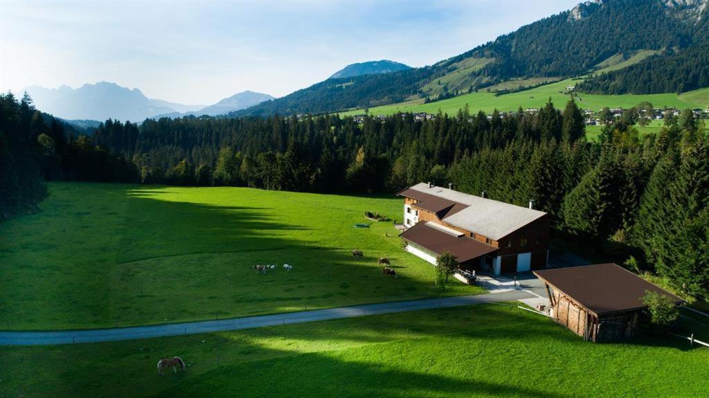 Bauernhof Niederfilzboden Villa Fieberbrunn Exterior foto